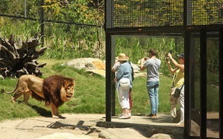Image Melbourne Zoo