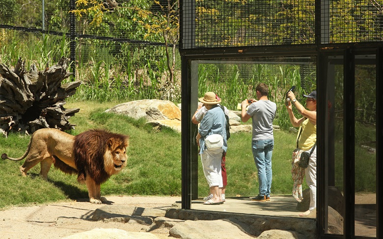 Image Melbourne Zoo