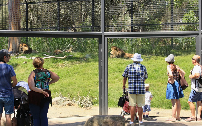 Image Melbourne Zoo