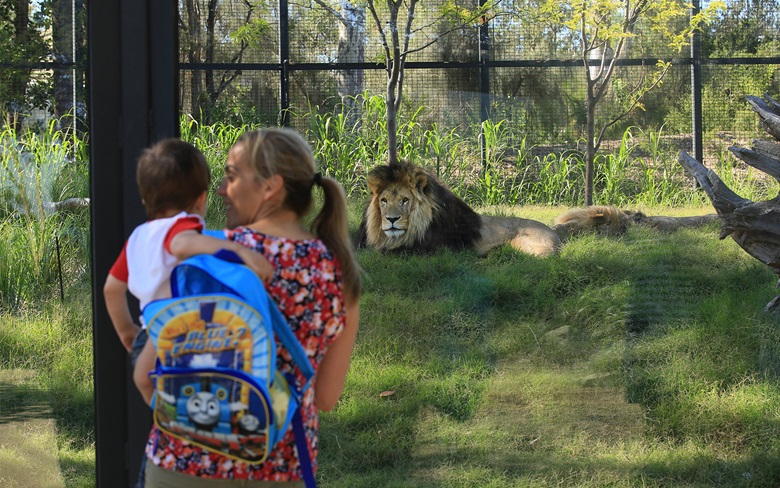 Image Melbourne Zoo
