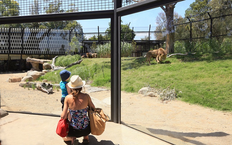 Image Melbourne Zoo