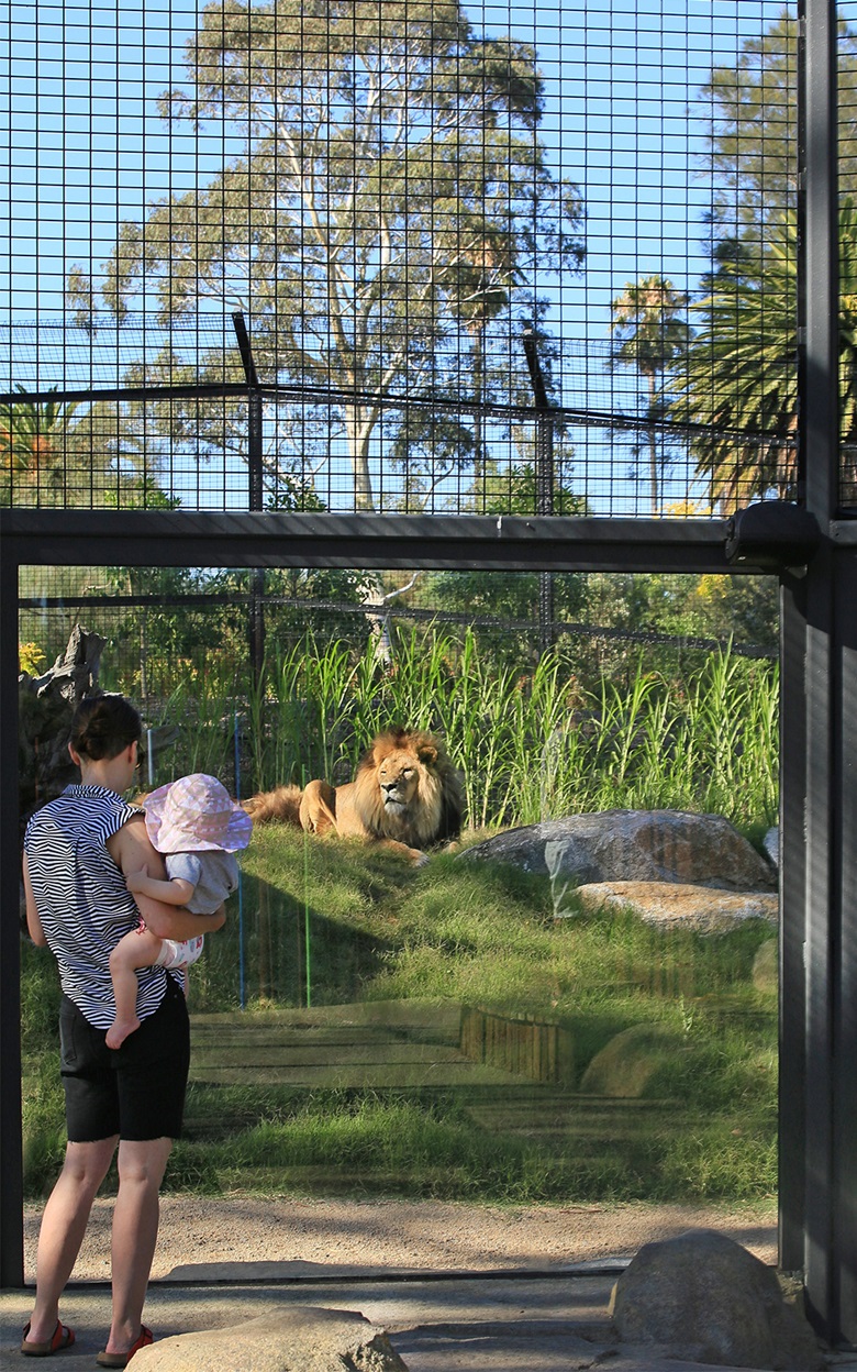 Image Melbourne Zoo